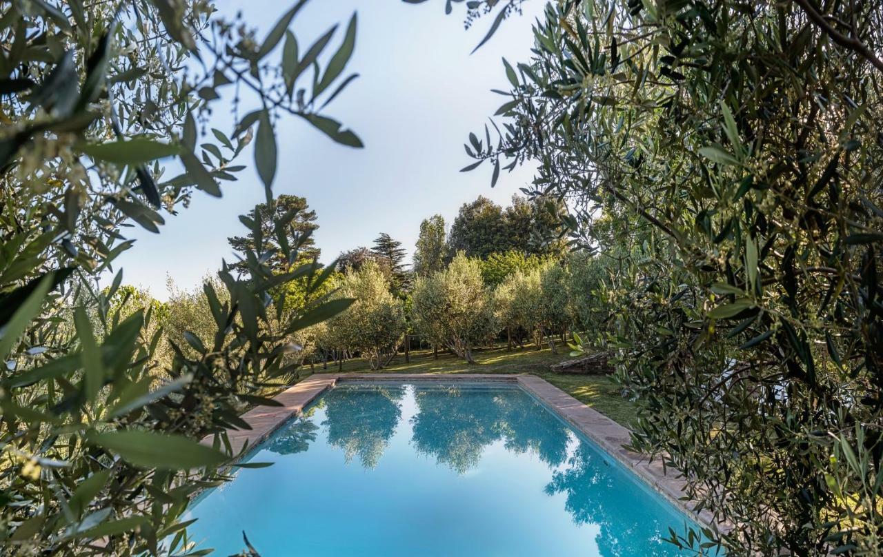 הוילה סטלנבוש Longfield House מראה חיצוני תמונה